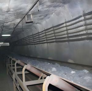 矿用带式输送机（巷）防灭火光纤监控系统