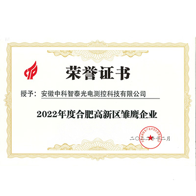 2022年度合肥高新区雏鹰企业